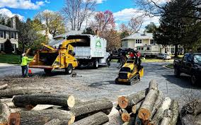 Best Commercial Tree Services  in Princeton, IL