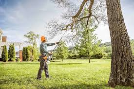 Best Seasonal Cleanup (Spring/Fall)  in Princeton, IL